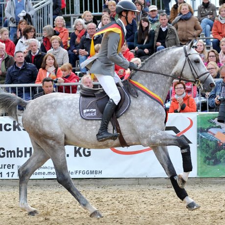 stallone Caressini da Caretino Cassini Bundeschampion di Ludger Beerbaum salto ostacoli Equine Evolution stalloni tedeschi