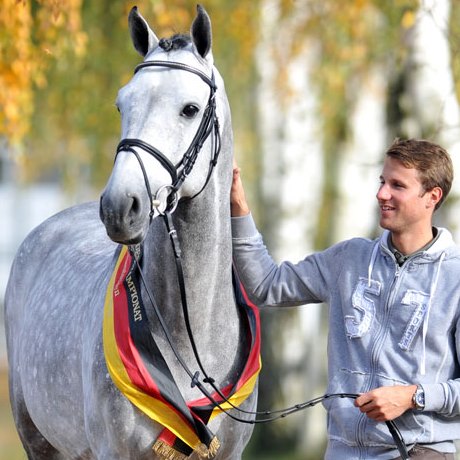 stallone Caressini da Caretino Cassini Bundeschampion di Ludger Beerbaum salto ostacoli Equine Evolution stalloni tedeschi