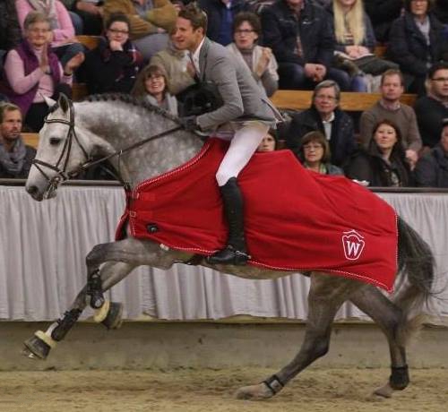 stallone Caressini da Caretino Cassini Bundeschampion di Ludger Beerbaum salto ostacoli Equine Evolution stalloni tedeschi