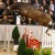 Cristallo da Cornet Obolenksy stallone salto di Ludger Beerbaum della Equine Evolution