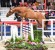Chacco Blue stallone da monta salto ostacoli Hannover Equine Evolution