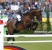 Chaman stallone KWPN da monta salto Ludger Beerbaum da Baloubet du Rouet Equine Evolution