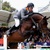 Chaman stallone KWPN da monta salto Ludger Beerbaum da Baloubet du Rouet Equine Evolution