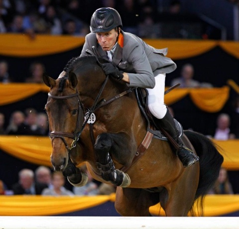 stallone Chaman da Baloubet du Rouet di Ludger Beerbaum salto ostacoli Equine Evolution stalloni tedeschi
