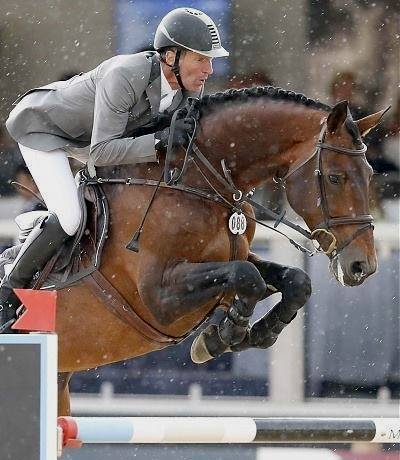 stallone Chaman da Baloubet du Rouet di Ludger Beerbaum salto ostacoli Equine Evolution stalloni tedeschi