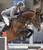 Chaman stallone KWPN da monta salto Ludger Beerbaum da Baloubet du Rouet Equine Evolution
