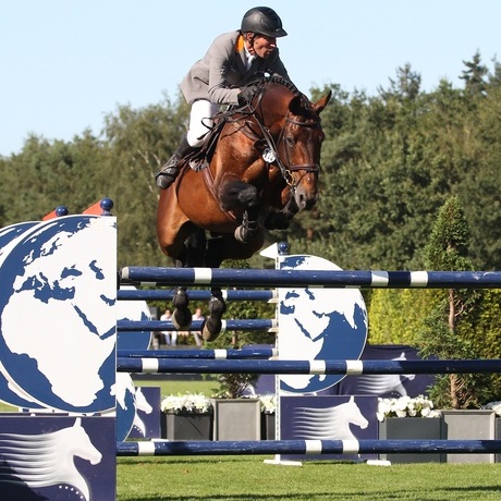 stallone Chaman da Baloubet du Rouet di Ludger Beerbaum salto ostacoli Equine Evolution stalloni tedeschi