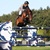 Chaman stallone KWPN da monta salto Ludger Beerbaum da Baloubet du Rouet Equine Evolution
