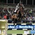 Chaman stallone KWPN da monta salto Ludger Beerbaum da Baloubet du Rouet Equine Evolution