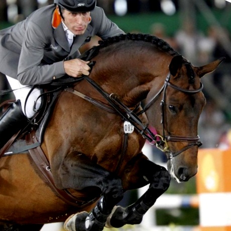 stallone Chaman da Baloubet du Rouet di Ludger Beerbaum salto ostacoli Equine Evolution stalloni tedeschi