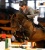 Chaman stallone KWPN da monta salto Ludger Beerbaum da Baloubet du Rouet Equine Evolution
