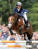 stallone pony Champion de Luxe