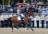 Campione pony salto Companiero