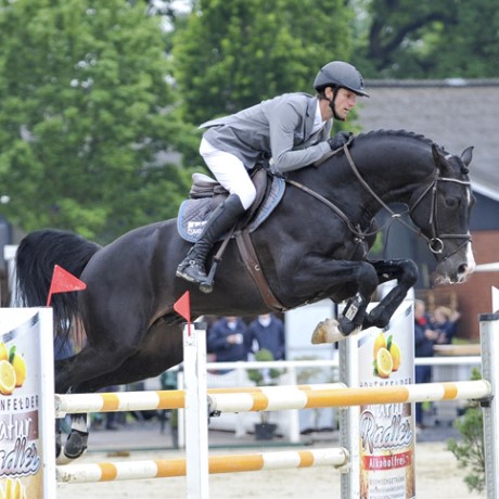 stallone Chubakko da Casall Colman Contender di Ludger Beerbaum salto ostacoli Equine Evolution stalloni tedeschi