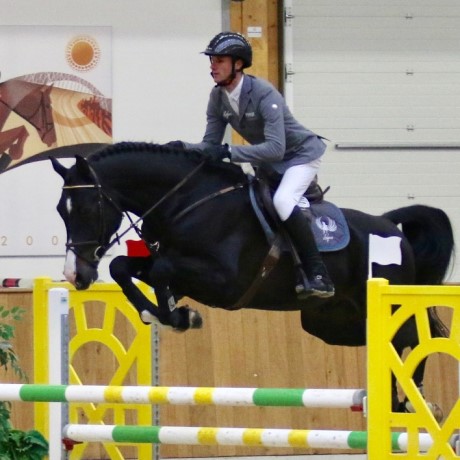 stallone Chubakko da Casall Colman Contender di Ludger Beerbaum salto ostacoli Equine Evolution stalloni tedeschi