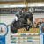 stallone da monta Holstein da Casall di Ludger Beerbaum Equine Evolution