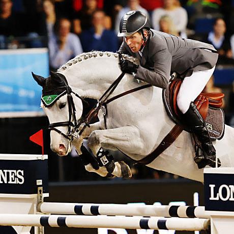 stallone Colestus da Cornet Obolensky x Stakkato di Marco Kutscher salto ostacoli Equine Evolution stalloni tedeschi