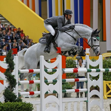 stallone Colestus da Cornet Obolensky x Stakkato di Marco Kutscher salto ostacoli Equine Evolution stalloni tedeschi