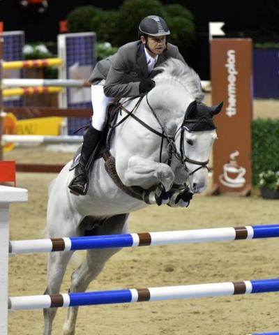 stallone Colestus da Cornet Obolensky x Stakkato di Marco Kutscher salto ostacoli Equine Evolution stalloni tedeschi