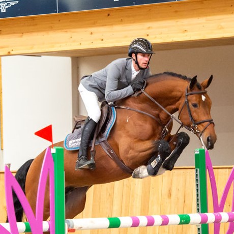 stallone Comme le Père da Comme il faut Cornet Obolenksy Ratina Z salto ostacoli Equine Evolution stalloni tedeschi