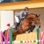 Comme le Père da Comme il Faut Cornet Obolenksy stallone salto di Ludger Beerbaum della Equine Evolution