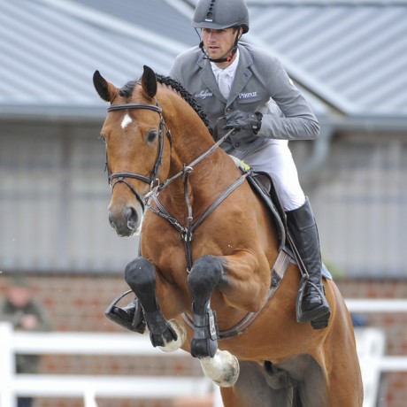 stallone Comme le Père da Comme il faut Cornet Obolenksy Ratina Z salto ostacoli Equine Evolution stalloni tedeschi