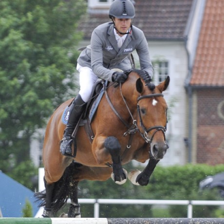 stallone Comme le Père da Comme il faut Cornet Obolenksy Ratina Z salto ostacoli Equine Evolution stalloni tedeschi