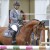Comme le Père da Comme il Faut Cornet Obolenksy stallone salto di Ludger Beerbaum della Equine Evolution