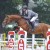 Comme le Père da Comme il Faut Cornet Obolenksy stallone salto di Ludger Beerbaum della Equine Evolution