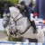 Cordess da Clinton Heartbreaker Cornet Obolensky stallone salto belga BWP  Equine Evolution