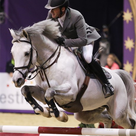 Cordess Cornet Obolensky stallone salto belga BWP di Ludger Beerbaum Equine Evolution