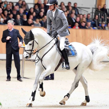 Cordess Cornet Obolensky stallone salto belga BWP di Ludger Beerbaum Equine Evolution