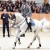 Cordess da Clinton Heartbreaker Cornet Obolensky stallone salto belga BWP  Equine Evolution