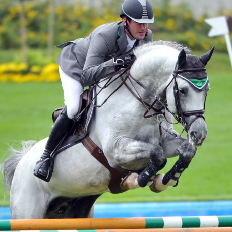 Cordess Cornet Obolensky stallone salto belga BWP di Ludger Beerbaum Equine Evolution