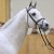 Cordess da Clinton Heartbreaker Cornet Obolensky stallone salto belga BWP  Equine Evolution