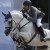 Cordess da Clinton Heartbreaker Cornet Obolensky stallone salto belga BWP  Equine Evolution