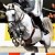 Cordess da Clinton Heartbreaker Cornet Obolensky stallone salto belga BWP  Equine Evolution