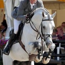 Cornet Obolenksy stallone da monta salto ostacoli BWP Equine Evolution