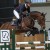 Coros da Cornet Obolensky stallone salto belga BWP  Equine Evolution