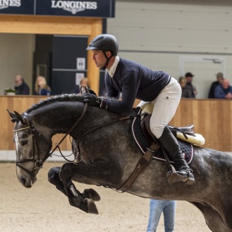 Cristallo 1 da Cornet Obolenksy stallone salto di Ludger Beerbaum della Equine Evolution