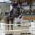 Cristallo da Cornet Obolenksy stallone salto di Ludger Beerbaum della Equine Evolution