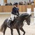 Cristallo da Cornet Obolenksy stallone salto di Ludger Beerbaum della Equine Evolution