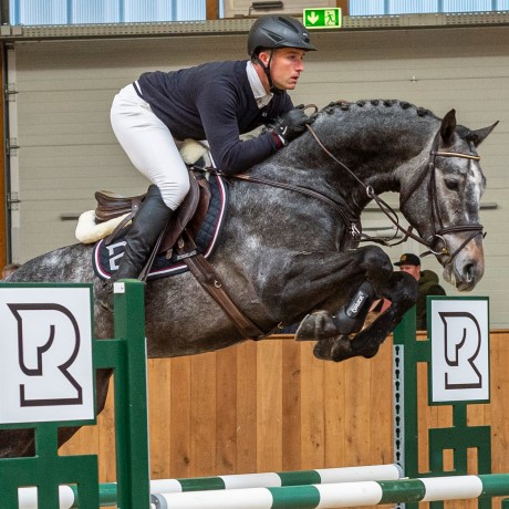 Cristallo 1 da Cornet Obolenksy stallone salto di Ludger Beerbaum della Equine Evolution