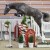 Cristallo da Cornet Obolenksy stallone salto di Ludger Beerbaum della Equine Evolution