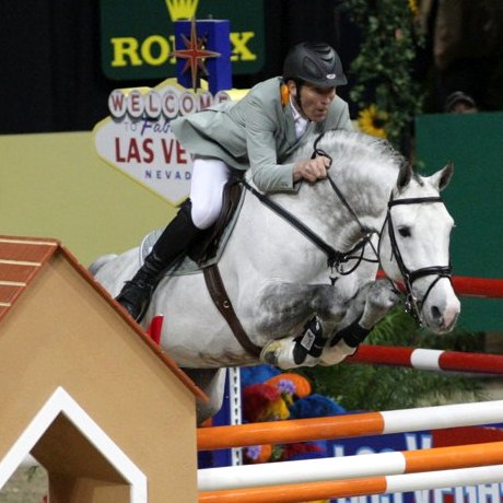 stallone Holstein Coupe de Coeur di Ludger Beerbaum Equine Evolution