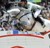 stallone Holstein Coupe de Coeur di Ludger Beerbaum Equine Evolution