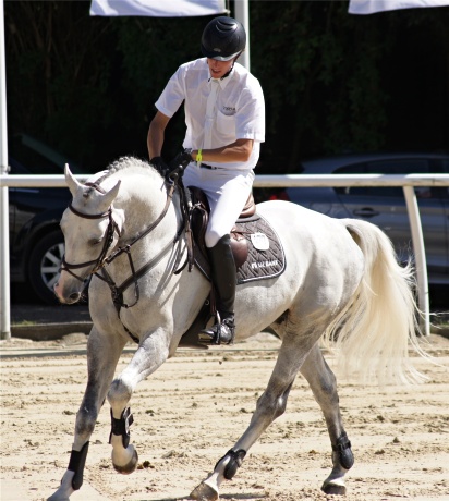 Cristallo 1 da Cornet Obolenksy stallone salto di Ludger Beerbaum della Equine Evolution