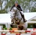 Cristallo da Cornet Obolenksy stallone salto di Ludger Beerbaum della Equine Evolution