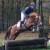 stallone da monta pony Equine Evolution