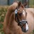 stallone da monta pony Equine Evolution